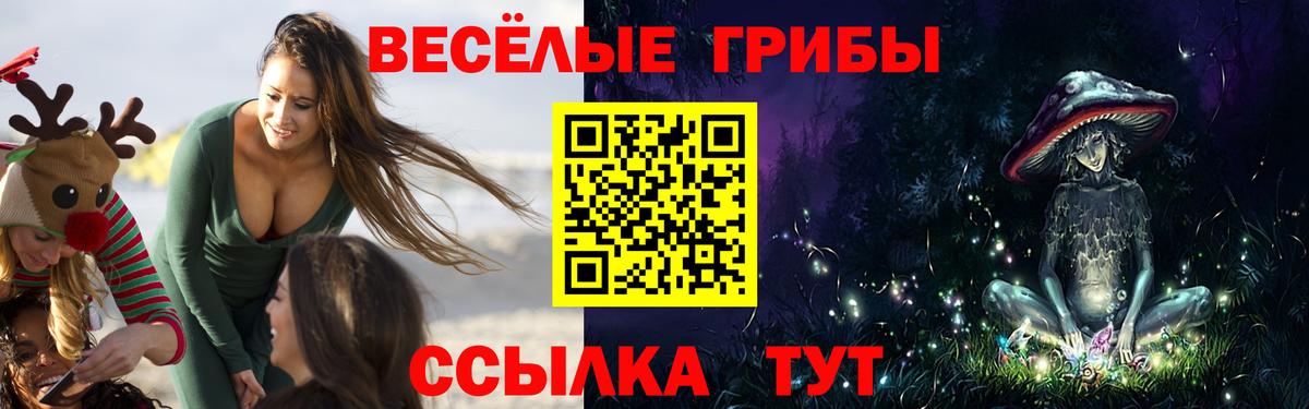 Псилоцибиновые грибы Psilocybe  Вход с VPN  Псилоцибиновые грибы MAGIC MUSHROOMS  Назарово 