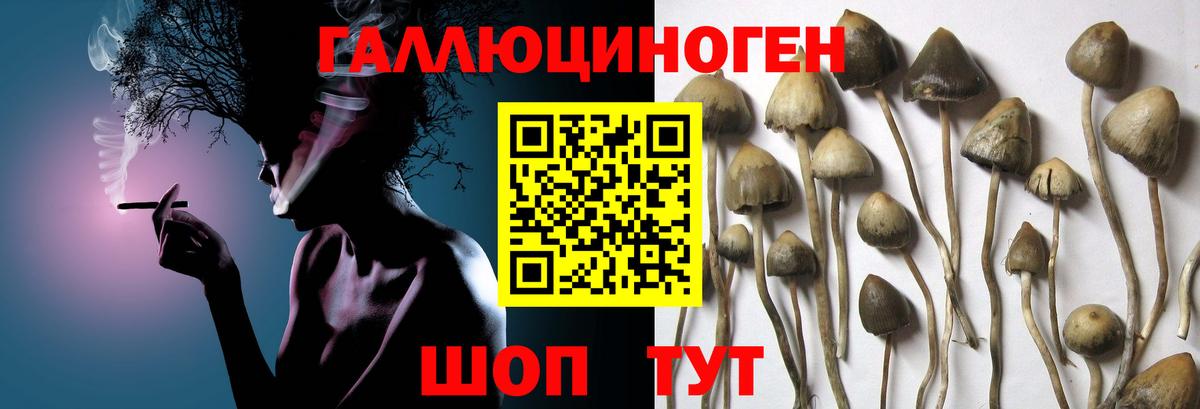 Галлюциногенные грибы Magic Shrooms Назарово